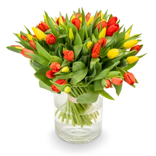 Kytice tulipánů